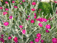 480d0bbb-Picture 004.jpg